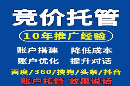 百度竞价排名服务：成功案例解析